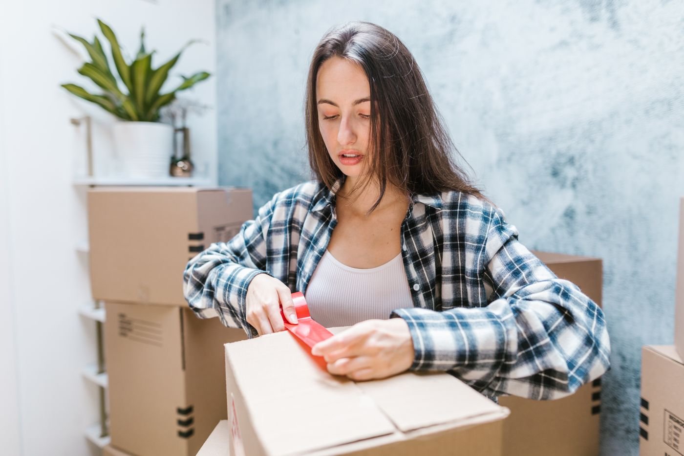 Organização profissional de mudança